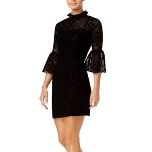 Calvin Klein Burnout Velvet Lace Sheer Bell Sleeve Ruffle Collar Dress Sz 4 Goth